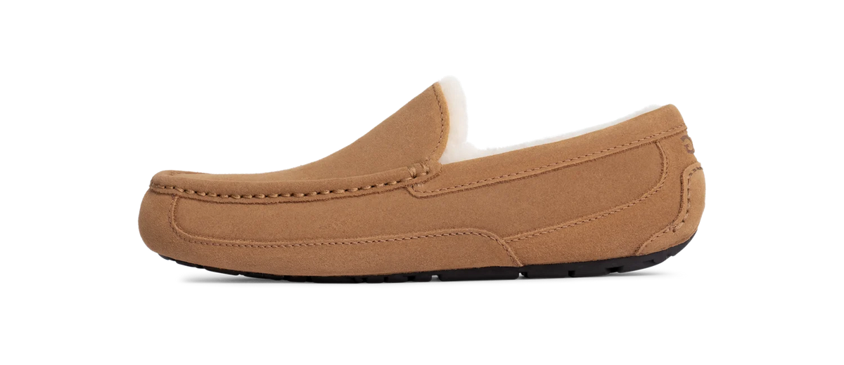 UGG Ascot Slipper Chestnut