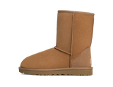 UGG Classic Short II Boot Chestnut (Women's)