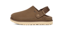 UGG Goldenstar Clog Hickory (Women's)