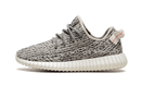 adidas Yeezy Boost 350 Turtledove (2022)