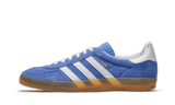 Gazelle Indoor Blue Fusion