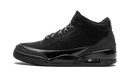 Air Jordan 3 Black Cat (2025)