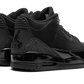 Air Jordan 3 Black Cat 2025