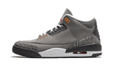 Jordan 3 Retro Cool Grey (2021)
