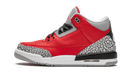 Air Jordan 3 SE Red Cement