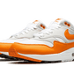 Nike Air Max 1 Anniversary Orange (2020) - DC1454-101
