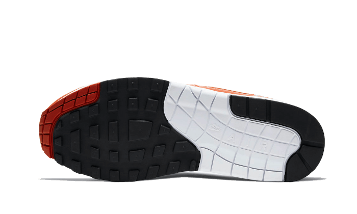 Air Max 1 Martian Sunrise (DH4059-102) - 41 EU - 8 US - Gray | SOSUKICKS