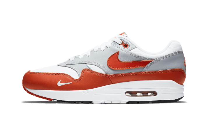 Air Max 1 Martian Sunrise (DH4059-102) - EU 40–46 - Gray | SOSUKICKS