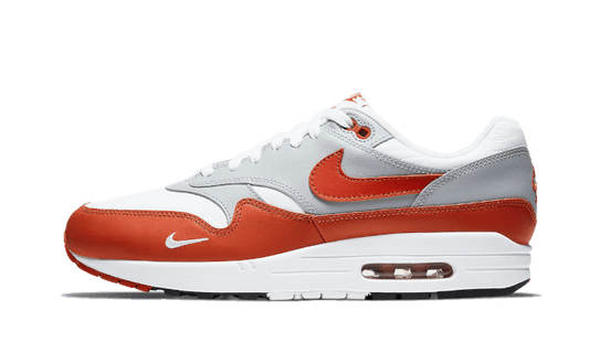 Air Max 1 Martian Sunrise (DH4059-102) - EU 40–46 - Gray | SOSUKICKS