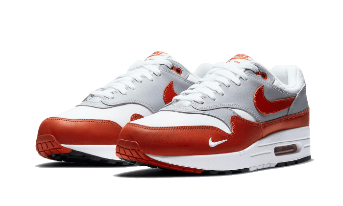 Air Max 1 Martian Sunrise (DH4059-102) - 40.5 EU - 7.5 US - Gray | SOSUKICKS