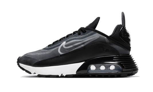 Air Max 2090 Black (CK2612-002) - EU 36–46 - Black | SOSUKICKS
