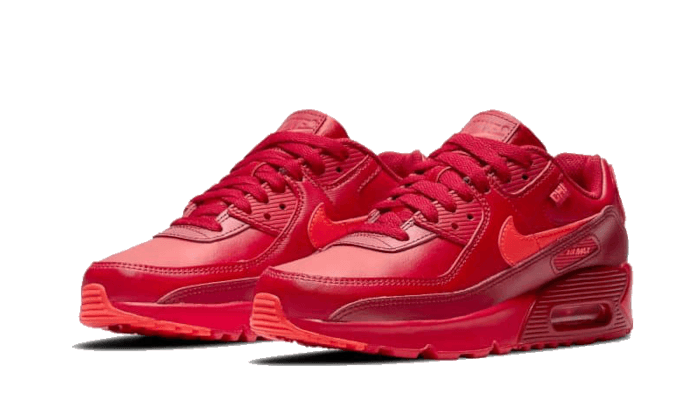 Nike Air Max 90 Chi-City Special - DH0146-600