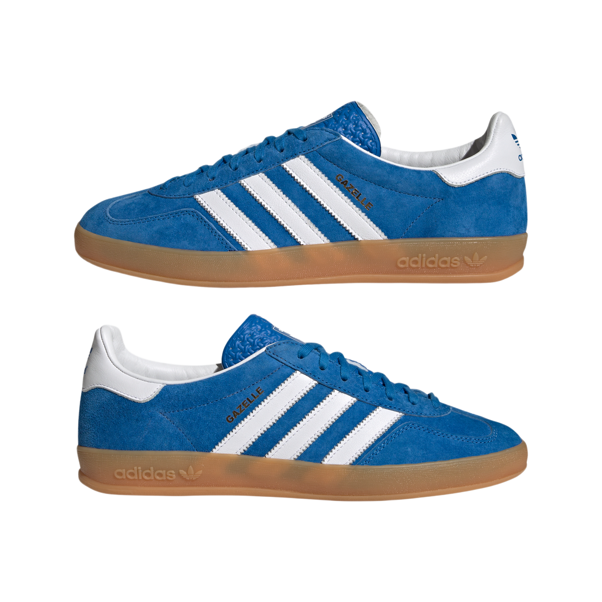 Gazelle Indoor Blue Bird Gum