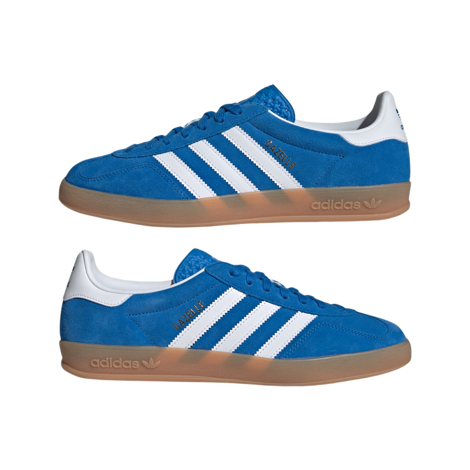 adidas Gazelle Indoor Blue Bird Cloud White