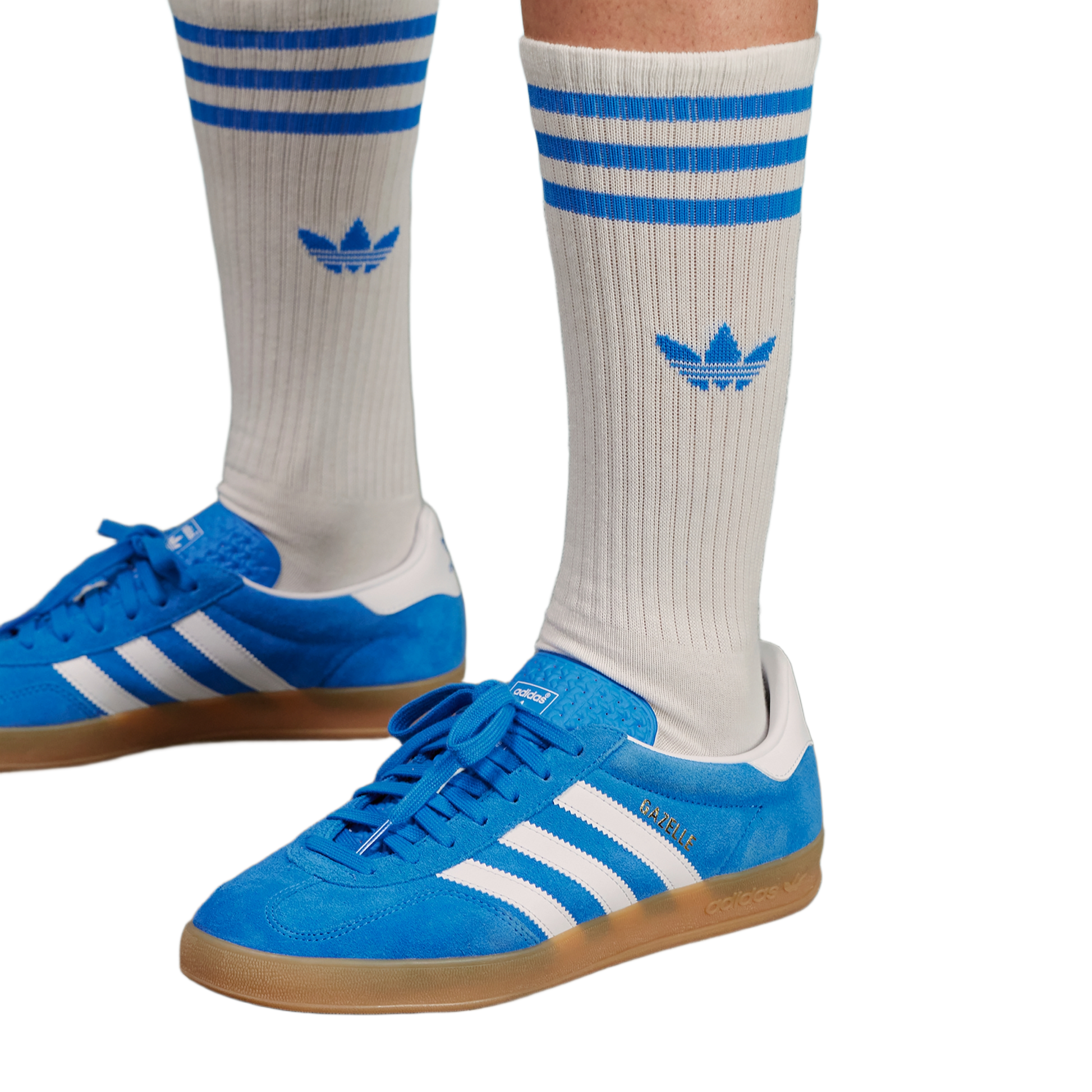 adidas Gazelle Indoor Blue Bird Cloud White