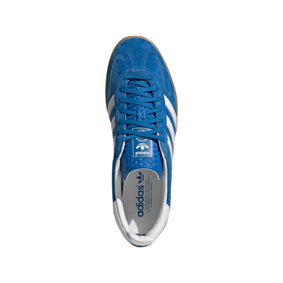 Gazelle Indoor Blue Bird Gum