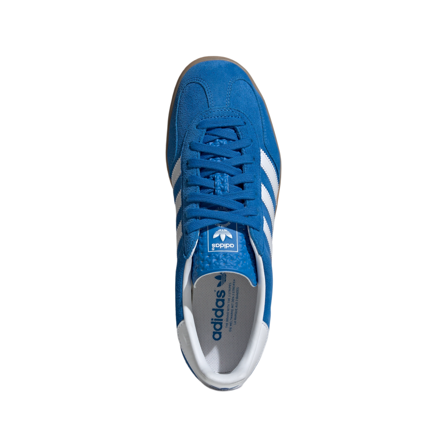 adidas Gazelle Indoor Blue Bird Cloud White
