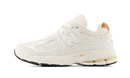 New Balance 2002R Reflection Sea Salt (GS)