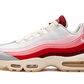 Nike Air Max 95 Anatomy of Air