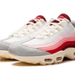 Nike Air Max 95 Anatomy of Air
