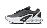 Air Max DN Black White Cool Grey 