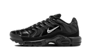 Nike Air Max Plus Black Chrome