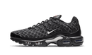 Air Max Plus France