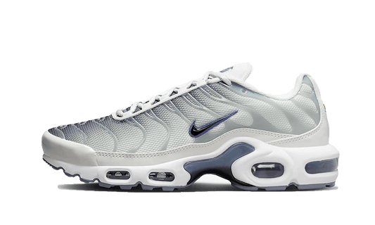 Nike Air Max Plus Sail Grey