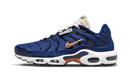 Nike Air Max Plus SE Air Max Running Club