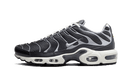 Nike Air Max Plus Greyscale Cool Grey