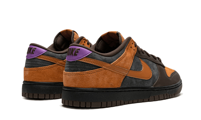 Dunk Low PRM Cider (DH0601-001) - 37.5 EU - 5 US - Brown | SOSUKICKS