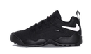 SB Darwin Low Supreme Black