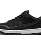 Nike SB Dunk Low Wasted Youth