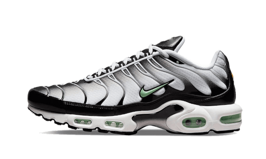 Air Max Plus Seafoam Grey Black