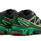 Salomon Advanced XT-6 Gore-Tex Eden Green Ash