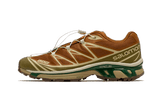 Salomon XT-6 Rubber Lizard