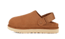 UGG Goldenstar Clog Chestnut (Women's)