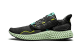 ZX 4000 4D Carbon