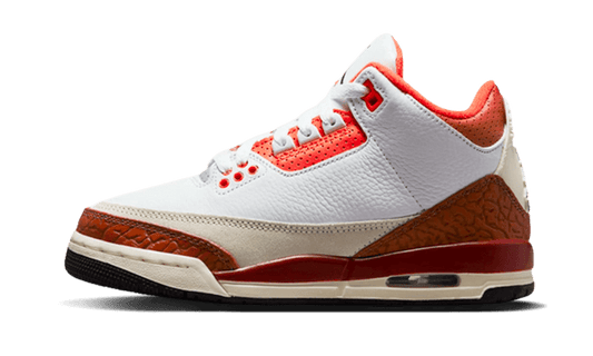 Air Jordan 3 – SOSUKICKS