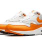 Nike Air Max 1 Anniversary Orange (2020) - DC1454-101