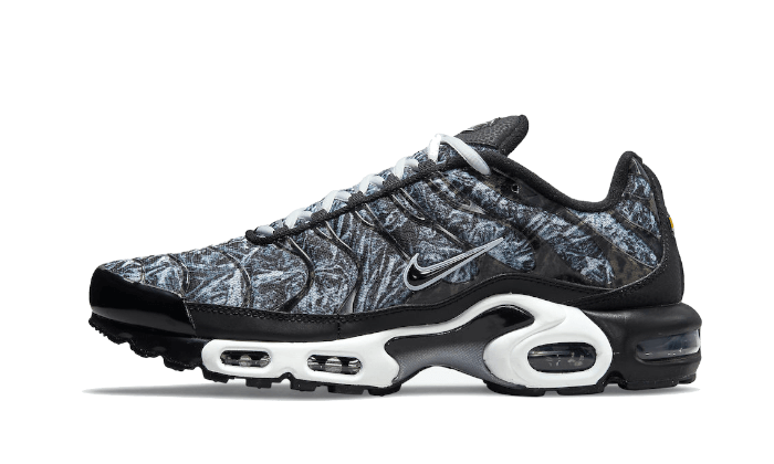 Nike Air Max Plus Dark Smoke Grey - DO6384-001