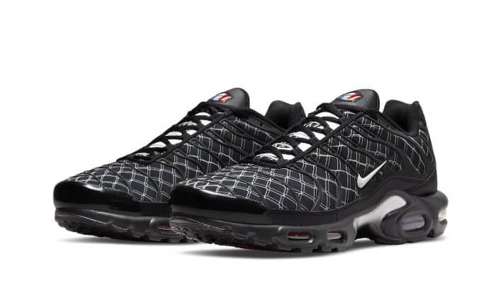 Nike Air Max Plus France - DV3194-001