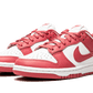 Nike Dunk Low Archeo Pink - DD1503-111